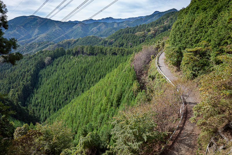 Japan-Tokyo-Hiking-Mitake-Otsuka - I was surprised to come to this road. It is for logging of course, and there are many gates to stop cars, but you can walk on it and probably cycle on