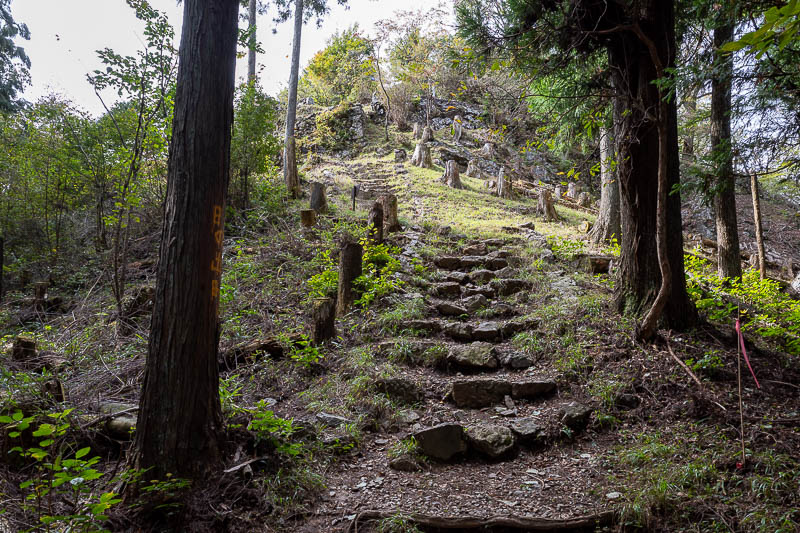 Japan-Tokyo-Hiking-Mitake-Otsuka - Here is the last bit to get to the top of Hinodesan, it is very developed.