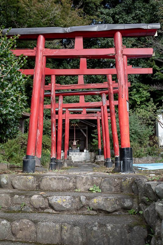 Japan-Tokyo-Hiking-Mount Raiden - No need to go to Fushimi Inari. This is where I joined the trail, although there are many places you can start from.