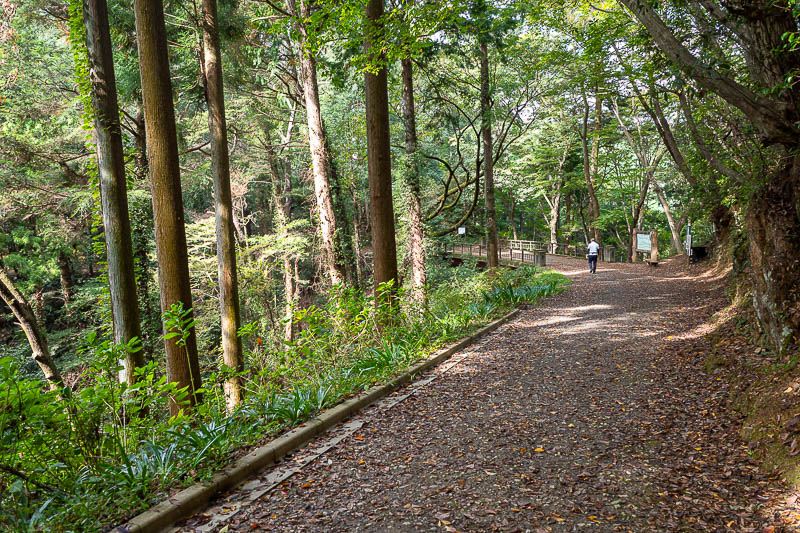 Japan-Tokyo-Hiking-Mount Raiden - But then as soon as you join the main trail, lots of other people. As you shall see parts of it are wide enough to drive a car down.