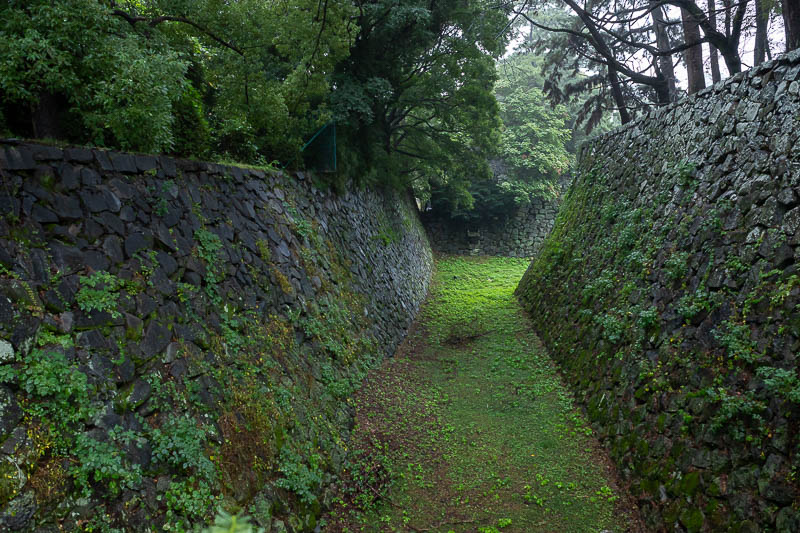 Back to Japan for the 11th time - October and November 2024 - And for my last pic on a very rainy day, the moat. Most of the moat is full of building rubble and tractors, here is a section that still looks a bit 