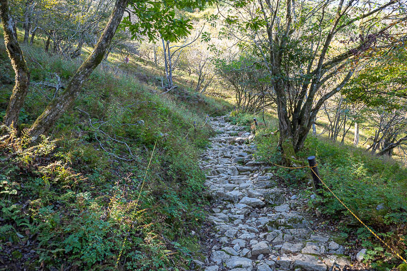 Japan-Nagoya-Fujiwaragatake-Hiking - The path was at times very rocky, autumn basically does not exist this year.