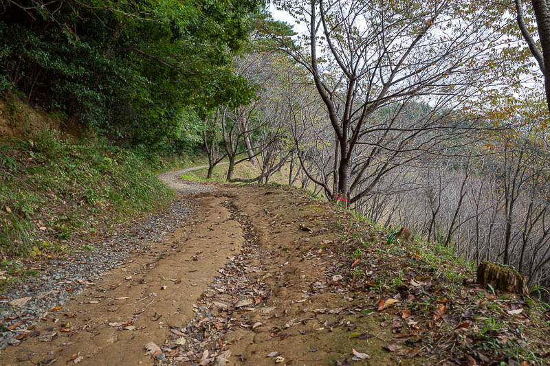 Japan-Tokyo-Hiking-Mount Raiden - Next I passed an orchard. There was a nearby sign warning of a bear sighting in June 2023.