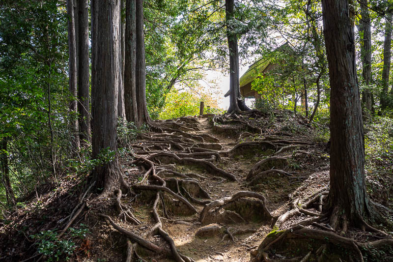 Japan-Tokyo-Hiking-Mount Raiden - There are a lot of side trails to go on over little peaks such as this one. But none have a clear view down.