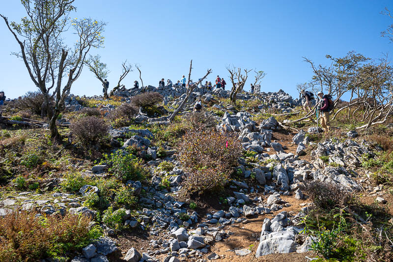 Japan-Nagoya-Fujiwaragatake-Hiking - The main summit, and all the people. Most of them cooking lunch. Yes, cooking.