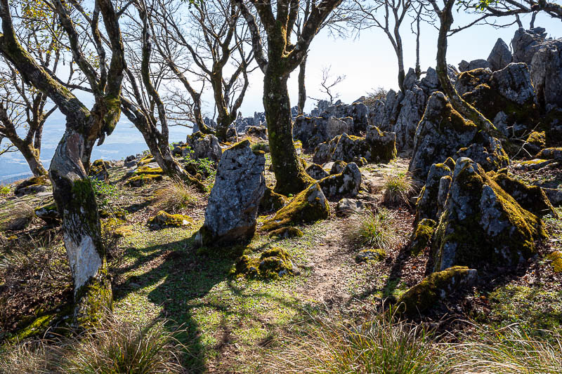 Japan-Nagoya-Fujiwaragatake-Hiking - From one of the peaks I saw some people hanging out on this rocky outcrop, so I wandered over as well, to be greeted by more moss.