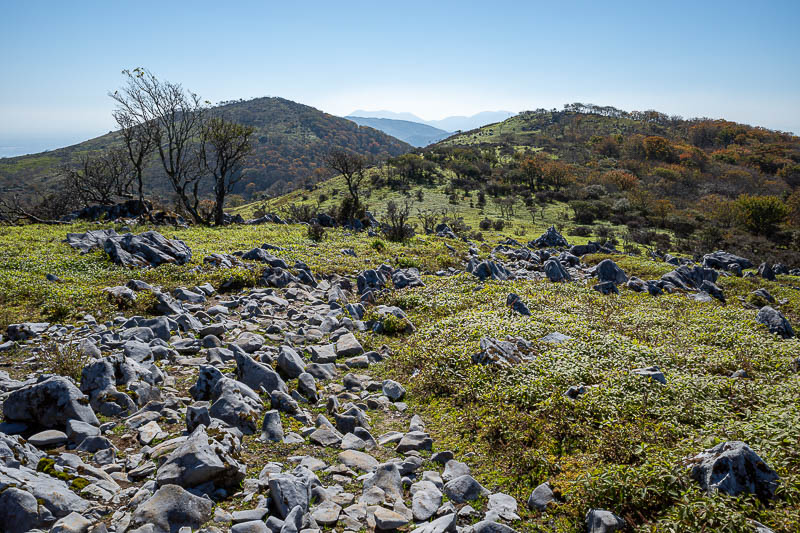 Japan-Nagoya-Fujiwaragatake-Hiking - Already plateauing