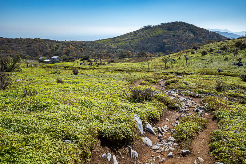 Japan-Nagoya-Fujiwaragatake-Hiking - Peak green. I am starting my way down from peak 2, and will soon go past the tin shed building for the last time.