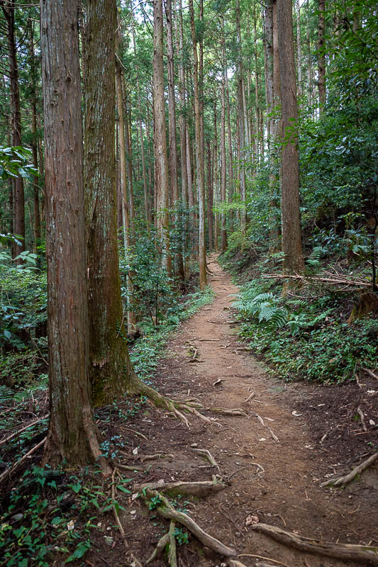 Japan-Tokyo-Hiking-Mount Raiden - But then it becomes narrow in places. It does not really make sense.