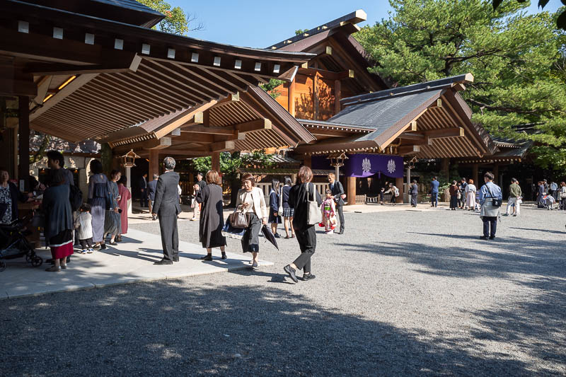 Back to Japan for the 11th time - October and November 2024 - Hmm, not the main shrine, but possibly the most photogenic building. I think this is quite a modern shrine.