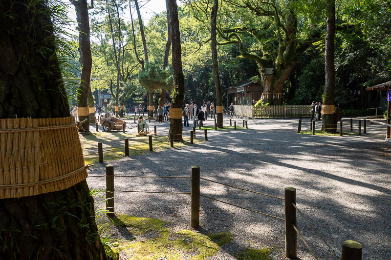 Back to Japan for the 11th time - October and November 2024 - The grounds were more impressive than the shrine buildings.