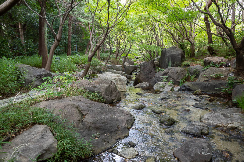 Back to Japan for the 11th time - October and November 2024 - However inside it was great. Here is a stream. There are many men in blue overalls attaching lights, fog machines and loud speakers to blast jingle be