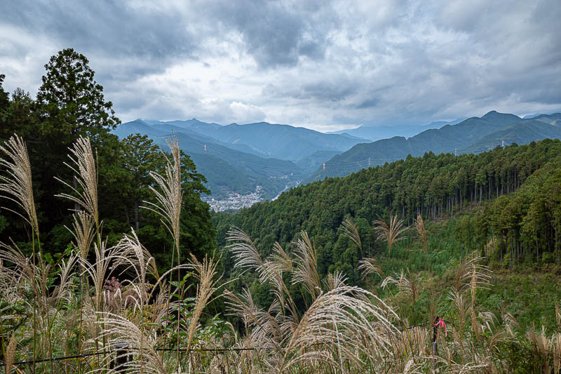 Japan-Tokyo-Hiking-Mount Raiden - Thankfully Japan's relentless logging industry provides the occasional suggestion of a view.