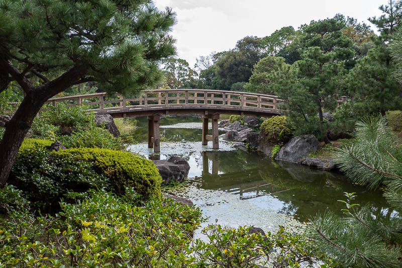 Back to Japan for the 11th time - October and November 2024 - There are quite a few bridges crossing the mini lake. Not many people at all in this place today, strange.