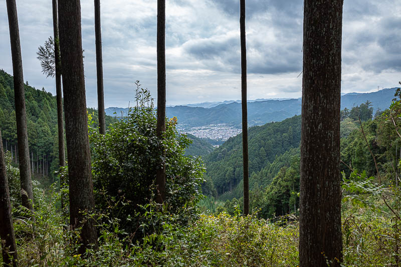 Japan-Tokyo-Hiking-Mount Raiden - Grey clouds all day, but no rain to speak of, yet.