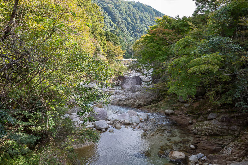 Back to Japan for the 11th time - October and November 2024 - I remembered taking similar shots last time I was here. Yes I have hiked in this area before, to the top of Mount Gozaisho, but last time in 2015 I to