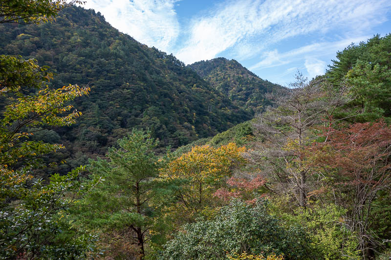 Back to Japan for the 11th time - October and November 2024 - First I will head in that direction. It looks nice, should be easy enough.