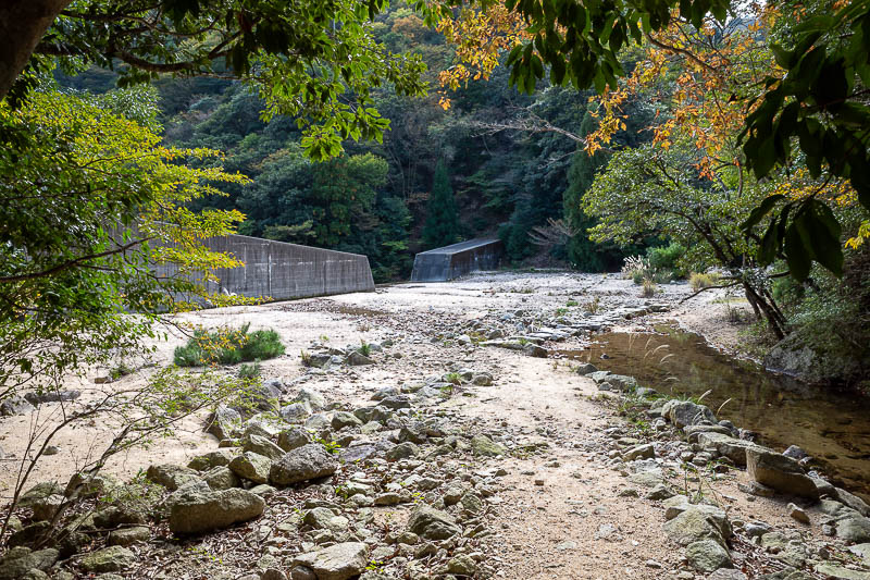 Back to Japan for the 11th time - October and November 2024 - I joined a 'trail' at this flood control area, and immediately got lost.