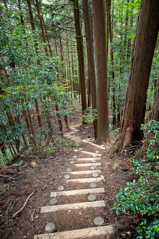 Japan-Tokyo-Hiking-Mount Raiden - The path down was very well maintained with an almost brand new staircase.