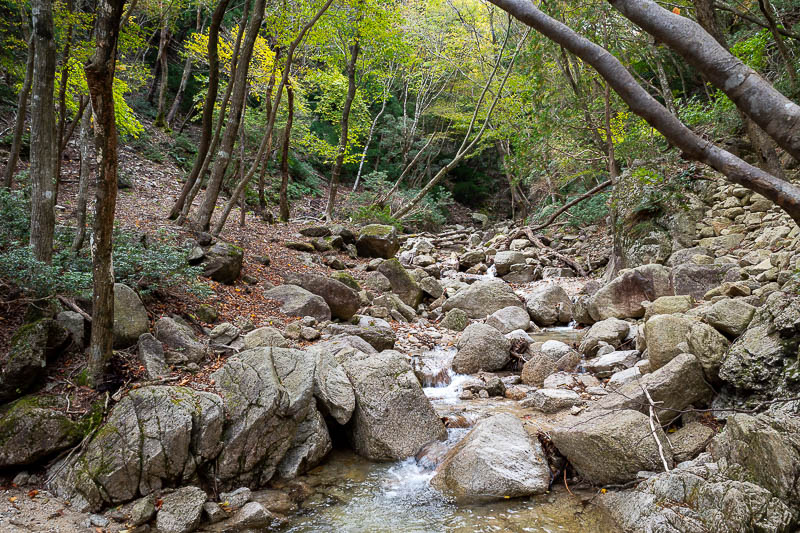 Back to Japan for the 11th time - October and November 2024 - I spent the next 3 or so hours in a valley making very little progress.