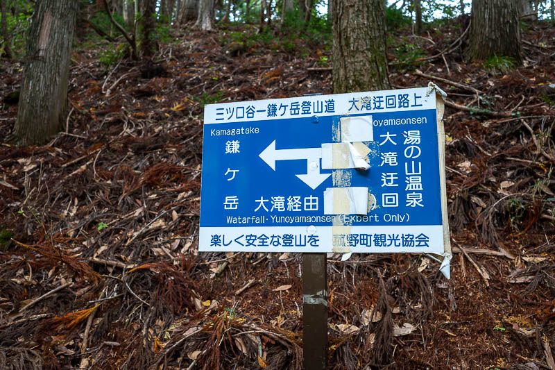 Back to Japan for the 11th time - October and November 2024 - After climbing out of the valley via tree roots, I got to this sign. Yes I had taken the expert course somehow by accident.