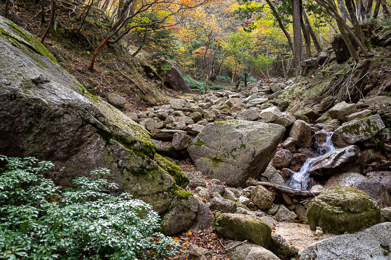 Back to Japan for the 11th time - October and November 2024 - More rocks to scramble over.