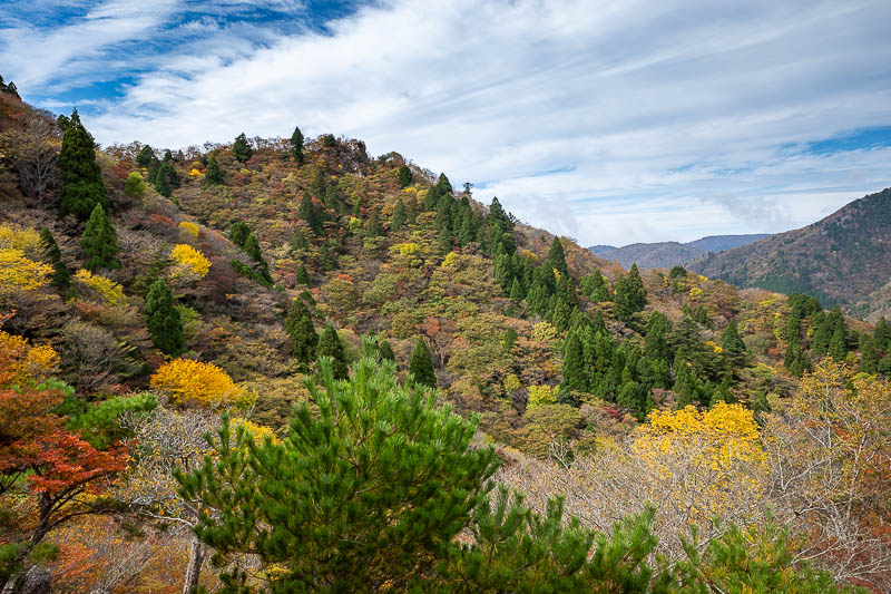 Japan-Nagoya-Hiking-Kamagadake-Gozaisho - I got lost and became an expert