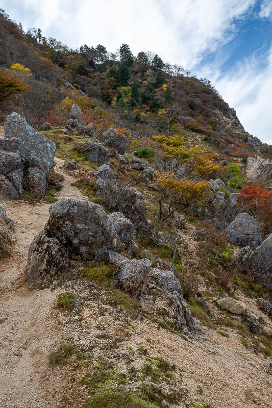 Back to Japan for the 11th time - October and November 2024 - This section was very steep and sandy, but I appreciated the lack of creek.