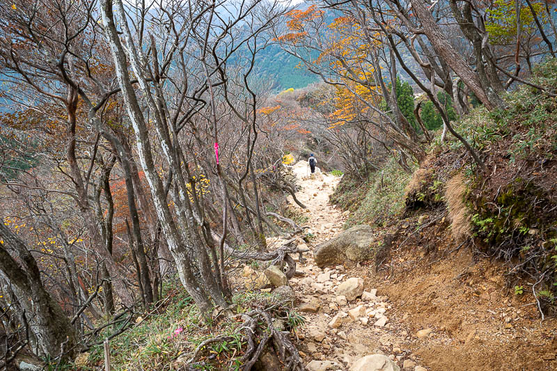 Back to Japan for the 11th time - October and November 2024 - The trail was much more defined now, I would not get lost anymore.