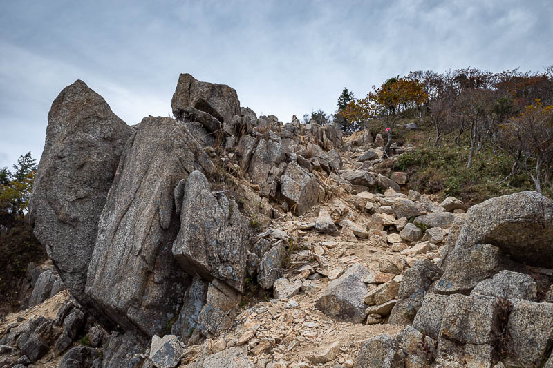 Back to Japan for the 11th time - October and November 2024 - More rocks, that pink ribbon on the tree is to show you the way when it snows. Although I was reliant on them in the valley / ravine earlier.