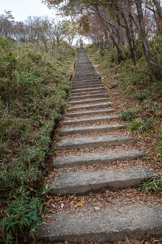 Back to Japan for the 11th time - October and November 2024 - Getting really close now, and this is clearly an actual staircase.