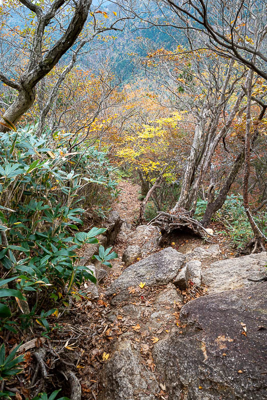 Back to Japan for the 11th time - October and November 2024 - But for me it was time to go down on foot. And it was really steep!