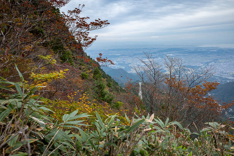 Back to Japan for the 11th time - October and November 2024 - This is the best I could do to prove I did not take the cable car down. You can see one of them here if you look carefully. I saw only one other perso