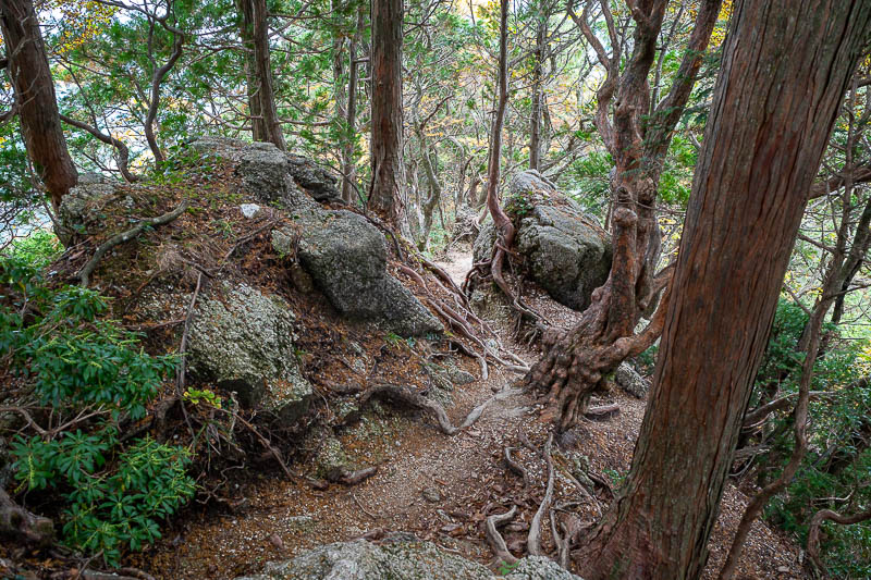 Back to Japan for the 11th time - October and November 2024 - There was the occasional section of big rocks.