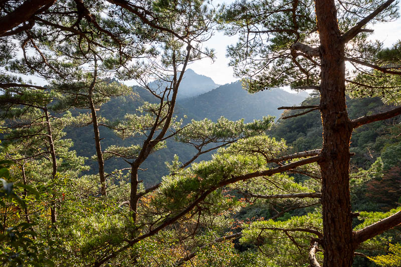 Back to Japan for the 11th time - October and November 2024 - The sun was about to go behind the mountain, so it came back out from the cloud briefly.