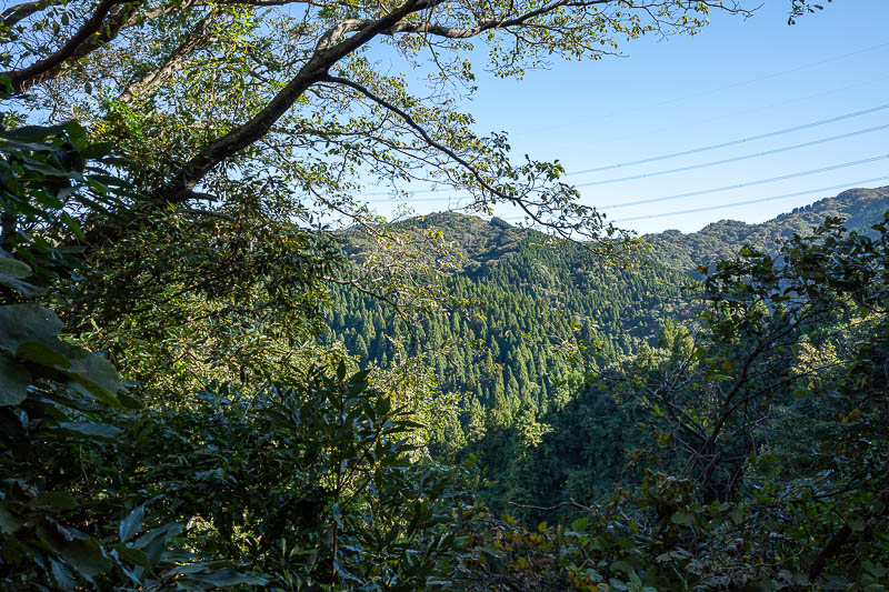 Back to Japan for the 11th time - October and November 2024 - There is the view to the top. Not very high at all today.