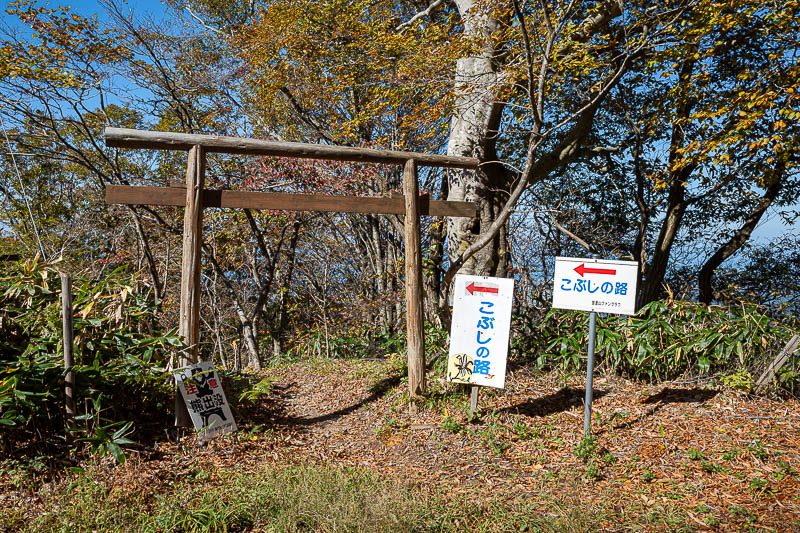 Back to Japan for the 11th time - October and November 2024 - And here is the top. With a bear sign.