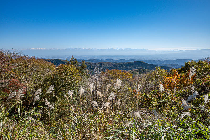 Back to Japan for the 11th time - October and November 2024 - But there was a very good view to the distant central alps. What looks like cloud on the horizon there is actually big mountains. I have climbed the b