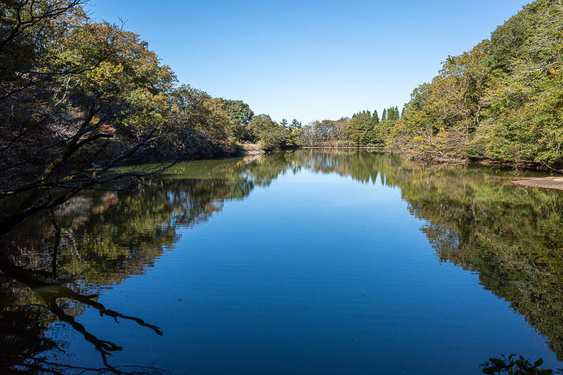 Back to Japan for the 11th time - October and November 2024 - First I went down a forest staircase to this lake area. I have seen some stunning autumn pictures online, not today. The lake appears to be called, Oi