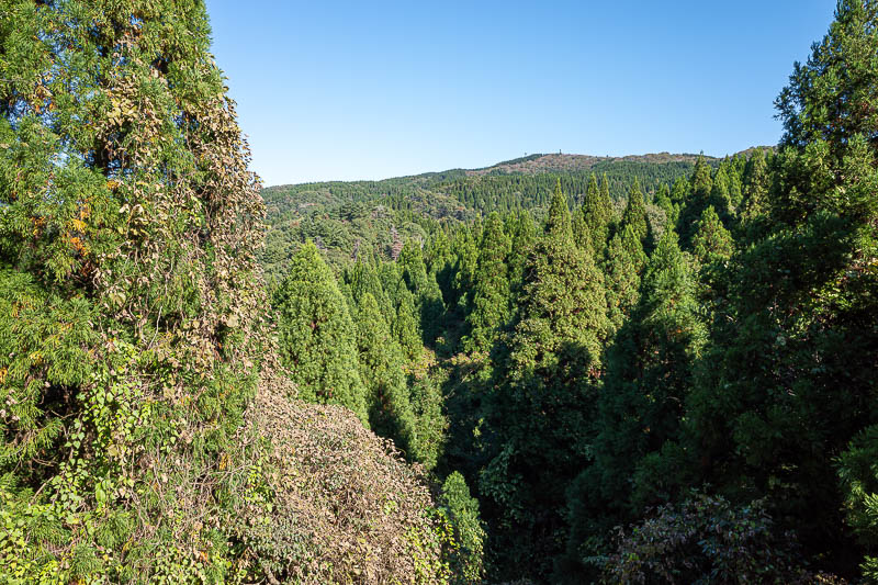 Back to Japan for the 11th time - October and November 2024 - The way down crossed a logging road a few times, which provided some good views such as this.