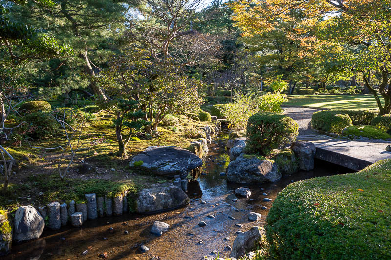 Back to Japan for the 11th time - October and November 2024 - Now it is time for a lot of mossy photos into the sun.