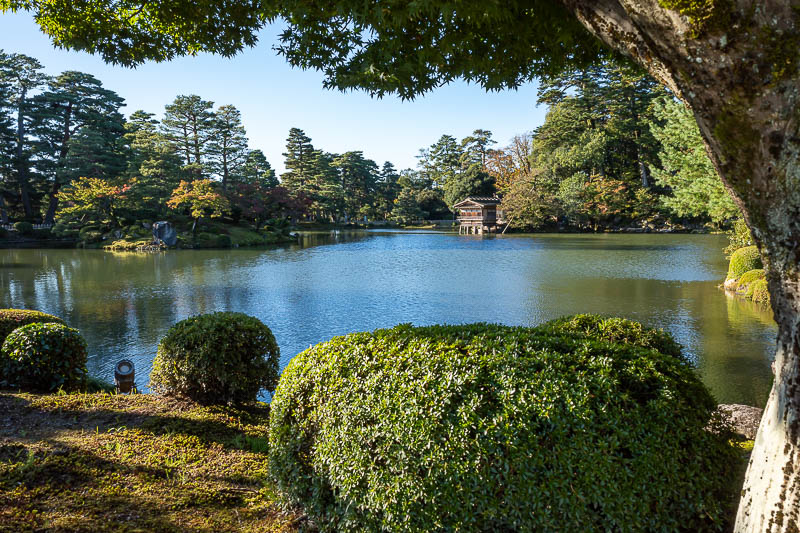 Back to Japan for the 11th time - October and November 2024 - This is the main view spot. Probably better at dusk rather than dawn.