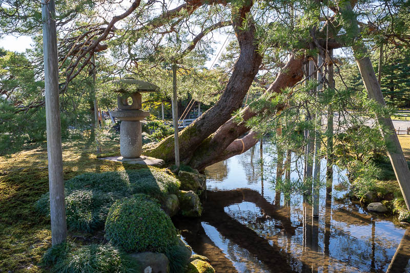 Back to Japan for the 11th time - October and November 2024 - More trees.