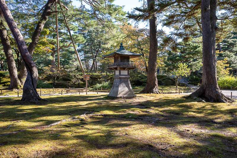 Back to Japan for the 11th time - October and November 2024 - Famous lantern. Actually most of the actual trees have some kind of origin story.