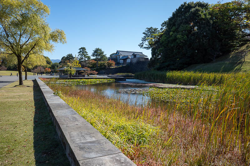 Back to Japan for the 11th time - October and November 2024 - I exited via the non preferred route and found myself in more lawned areas with more ponds.