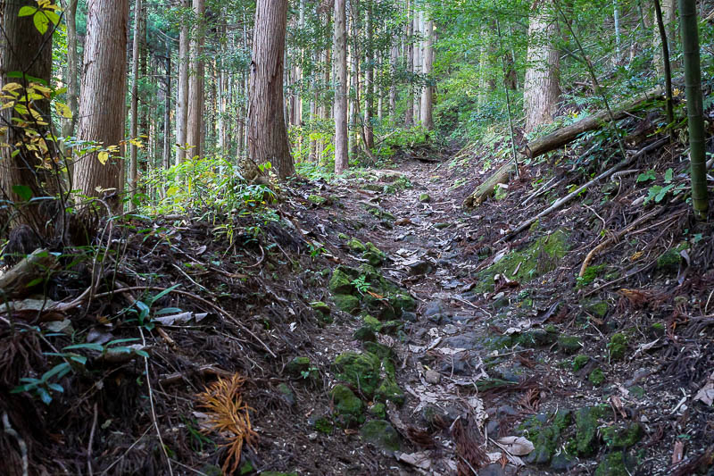 Japan-Kanazawa-Hiking-Mount Okushishiku - Now I joined the trail, with my bell dinging. There were a lot of other hikers around. Behind me were some children, in front of me some elderly peopl