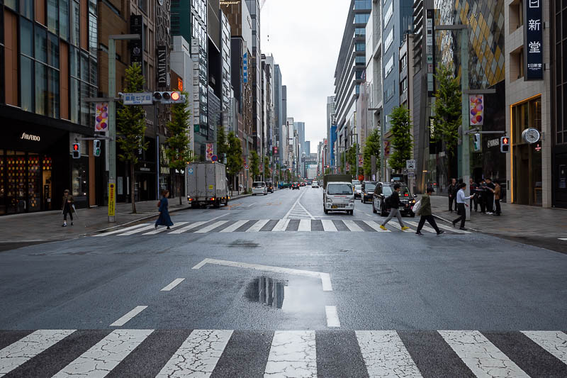 Japan-Tokyo-Garden-Rain - A very grey and damp Ginza.