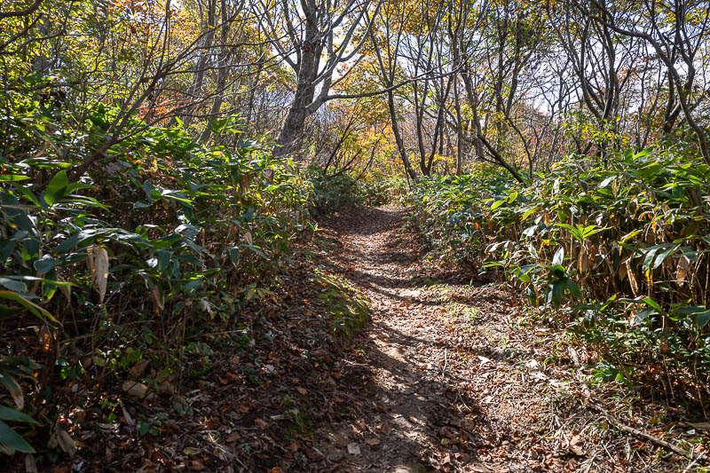 Japan-Kanazawa-Hiking-Mount Okushishiku - There will be a lot more photos like this.