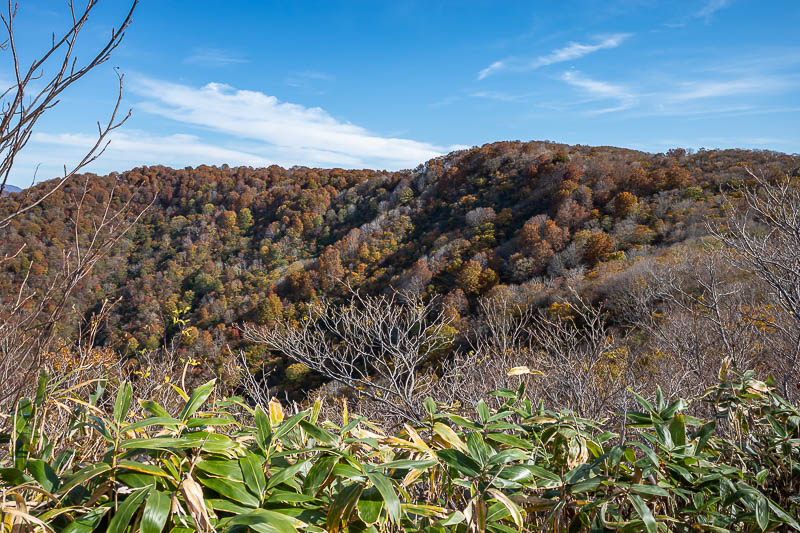 Japan-Kanazawa-Hiking-Mount Okushishiku - I think that is my summit. Although I know there is a big cleared area for people to cook their lunch.