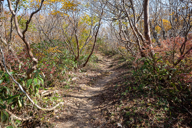 Japan-Kanazawa-Hiking-Mount Okushishiku - The scenery was still fantastic.